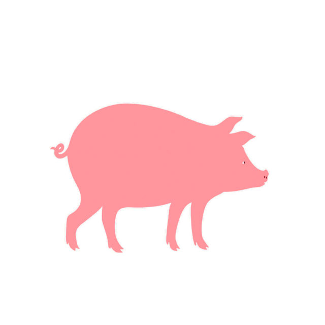 Diciotto, IL Porcello by Danese Artemide Design Accessories